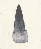 Rare spellings : selected drawings = zeichnungen, 1985-1992