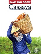 Save and grow : cassava : a guide to sustainable production intensification