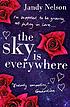 The sky is everywhere 