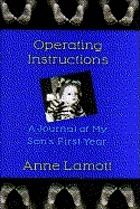 Operating instructions : a journal of my son's first year