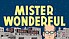 Mister wonderful 