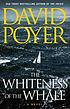 The whiteness of the whale 