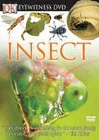 Insect
