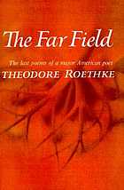 The far field