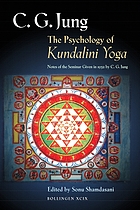 Cover for 0691021279