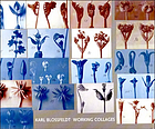 Karl Blossfeldt : working collages