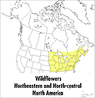 A field guide to wildflowers : Northeastern and North-central North America