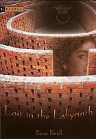 Lost in the labyrinth : a novel