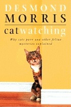 Cat watching