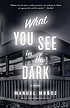 What you see in the dark : a novel 