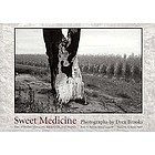 Sweet medicine : sites of Indian massacres, battlefields, and treaties