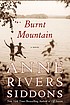 Burnt Mountain : a novel 