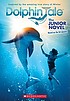 Dolphin tale : the junior novel 
