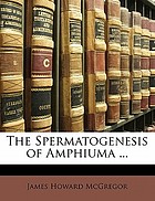 The spermatogenesis of amphiuma