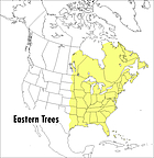 A field guide to eastern trees : eastern United States and Canada, including the Midwest