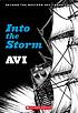 Into the storm 