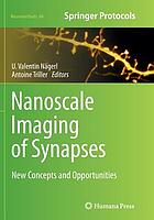 Nanoscale imaging of synapses