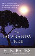 The jacaranda tree