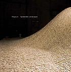 Maya Lin : systematic landscapes