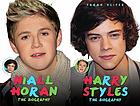 Harry Styles ; Niall Horan : the biography