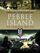 Pebble Island : Operation Prelim