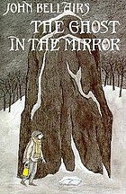 The ghost in the mirror