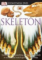 Skeleton