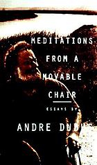 Meditations from a movable chair : essays