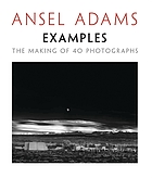 Examples : the making of 40 photographs