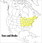 A field guide to trees and shrubs : northeastern and north-central United States and southeastern and south-central Canada