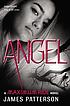 Angel : a Maximum Ride novel 