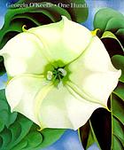Georgia O'Keeffe: one hundred flowers