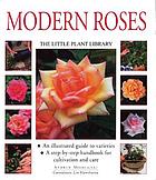 Modern roses