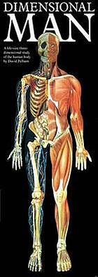 Dimensional man : a life-size three-dimensional study of the human body