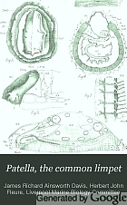 Patella, the common limpet
