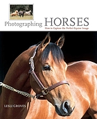 Photographing horses : how to capture the perfect equine image