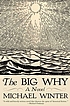 The big why : a novel von Michael Winter