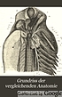 Grundriss der vergleichenden Anatomie. por C Gegenbaur