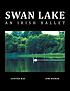 Swan lake : an Irish ballet. by Gunter Rau