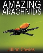 Amazing arachnids