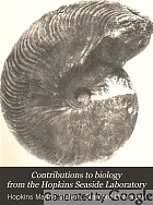 Contributions to biology from the Hopkins Seaside Laboratory