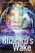 Blizzard's wake von Phyllis Reynolds Naylor