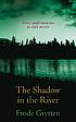 The shadow in the river