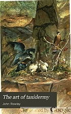 The art of taxidermy