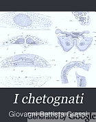 I chetognati. Anatomia e sistematica con aggiunte embriologiche. Memoria del dott. Battista Grassi.