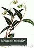 Meehans' monthly : a magazine of horticulture, botany, and kindred subjects.