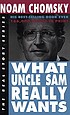 What Uncle Sam really wants de Noam Chomsky