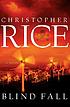 Blind fall : a novel by  Christopher Rice 