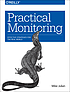 Practical monitoring : effective strategies for... by Mike Julian