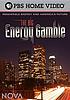 The big energy gamble by  Larry Klein 